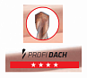 Картинка Сверла по черепице (PROFI DACH)
