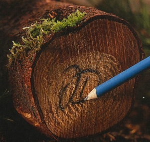 Карандаш для мокрой древесины Markal ZS.424